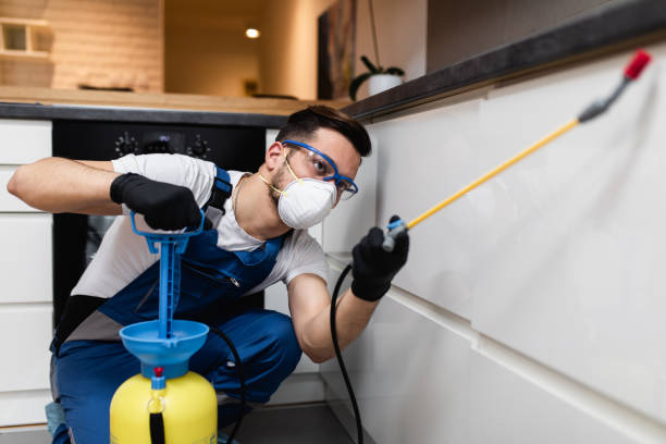 Best Local Pest Control Services  in Hurleyville, NY
