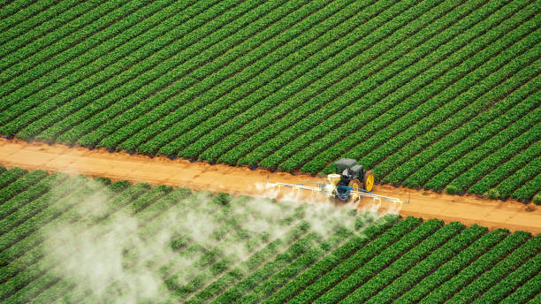 Best Mosquito Control Services  in Hurleyville, NY